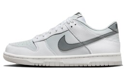 Женские кроссовки для скейтбординга Nike Dunk, белый/серый fv0365-100 | white/gray