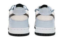 Кроссовки Nike Dunk Skateboarding Shoes Women's Low-top Beige, голубой fb9109-107（team212-繁花蓝hssbox) | light blue