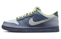 Женские кроссовки для скейтбординга Nike Dunk, Dusty Green fq8354-491 | dusty green
