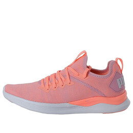 Кроссовки ignite flash evoknit 'pink white orange' Puma, розовый 190511-15 | pink/white/orange