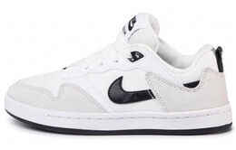 Женские кроссовки для скейтбординга Nike SB Alleyoop cq0369-100