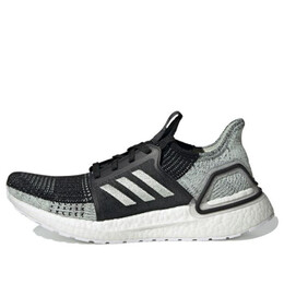Кроссовки ультрабуст 19 Adidas, черный g27484 | black