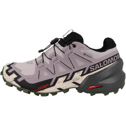 Женские кроссовки Speedcross 6 GTX Salomon, цвет grau 40d73e0d-9f6f-44b3-800a-3c6e2ff1c954_c169 | grau
