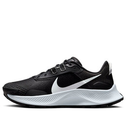 Кроссовки пегас трейл 3 Nike, черный da8698-001 | black/dark smoke/grey/pure platinum