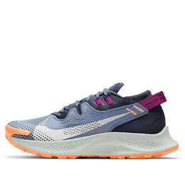 Кроссовки пегас трейл 2 Nike, синий ck4309-401 | blue/gray/purple