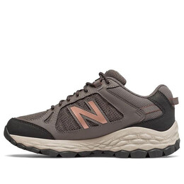 Кроссовки fresh foam 1350 коричневые New Balance, коричневый ww1350wa | brown