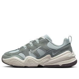 Кроссовки тек хера Nike, серебряный dr9761-001 | light silver/sail/flat pewter/mica green