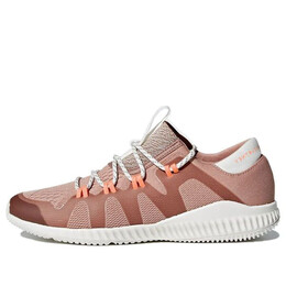 Кроссовки (WMNS) Adidas CrazyTrain Pro 'Pink', розовый bb6241 | pink