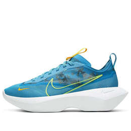 Кроссовки виста лайт Nike, синий cw5579-400 | blue/green