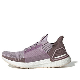 Кроссовки ультрабуст 19 Adidas, коричневый g27490 | brown/purple