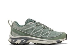 Кроссовки XT-6 Expanse Salomon, зеленый l47134200 | lily pad/laurel wreath/pewter