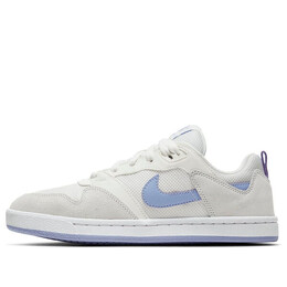 Кроссовки sb skateboard alleyoop кроссовки Nike, серый cq0369-102 | purplegray