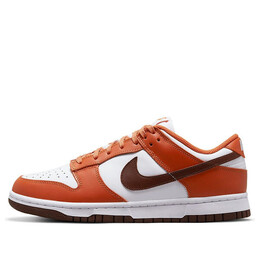 Кроссовки данк лоу Nike, белый dq4697-800 | white/brown