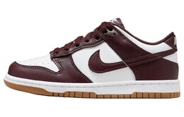 Кроссовки Nike Dunk Skateboarding Shoes GS, коричневый hj9282-100 | brown/white