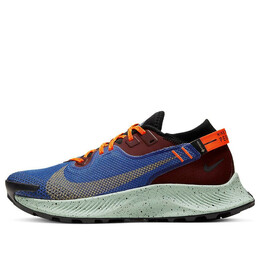 Кроссовки pegasus trail 2 gore tex Nike, черный cu2018-600 | black/blue/orange