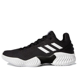 Кроссовки pro bounce 2018 низкие Adidas, черный fw5747 | black/white